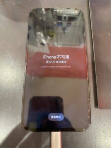 12ProMax修理