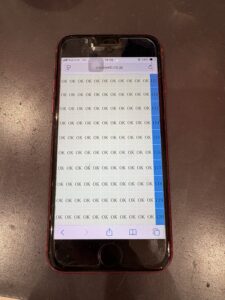 iPhoneSE第3世代の右端タッチが反応しない症状を確認中のテスト画面。川口市・蕨市・戸田市で即日データそのまま修理可能。