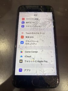 se3画面故障
