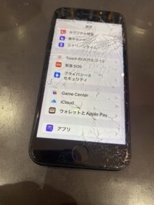 SE3画面故障