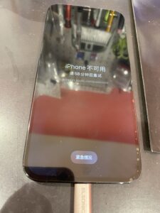12promax画面修理