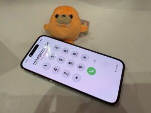 画面修理後に正常表示となったiPhone14ProMax
