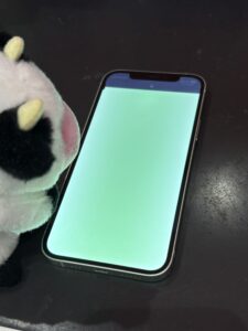 iPhone12の液晶が映らず操作できない状態（修理前・さいたま市よりご来店）