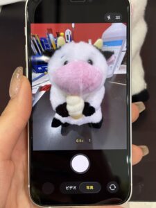 外カメラ修理後にクリアに撮影できるようになったiPhone12mini(川口市)