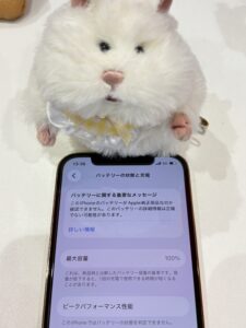 iPhone12 Pro バッテリー交換後 最大容量100%|三郷市よりご来店