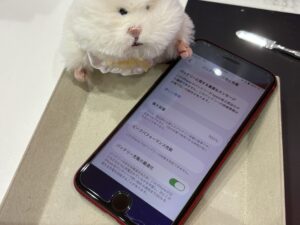iPhone SE(第3世代)バッテリー交換後・最大容量100%へ改善した状態