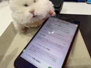 iPhone SE(第3世代)バッテリー交換前・最大容量73%の状態