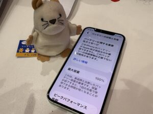 新品バッテリーへ交換後のiPhone12の状態
