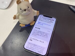 バッテリー交換前のiPhone12の状態